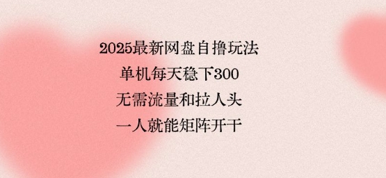 2025最新网盘自撸玩法，单机每天稳下3张，无需流量和拉人头，一个人就可轻松矩阵，全网独一份【揭秘】-HXPP