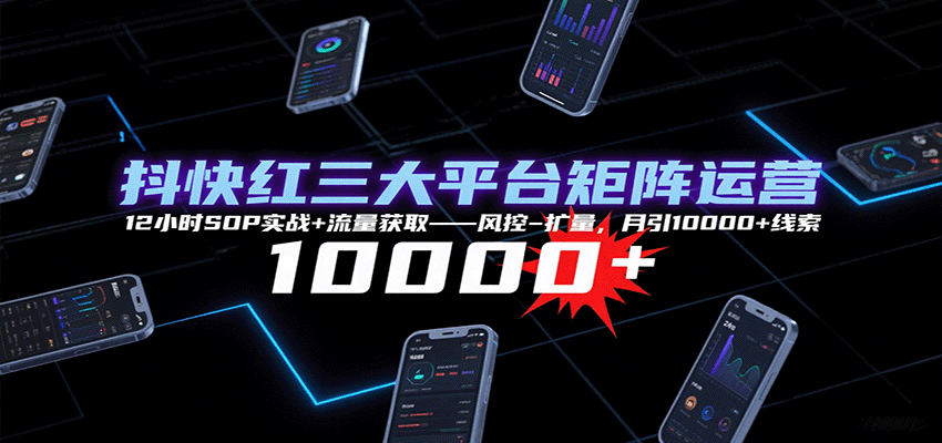 抖快红三大平台矩阵运营，12小时SOP实战+流量获取-风控-扩量，月引10000+线索-HXPP