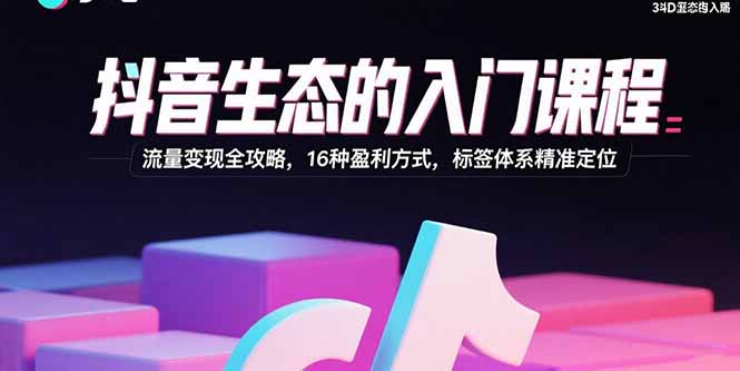 抖音生态的入门课程：流量变现全攻略，16种盈利方式，标签体系精准定位-HXPP