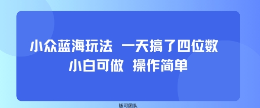 小众蓝海玩法 一天搞了四位数 小白可做 操作简单-HXPP