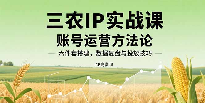 三农IP实战课：账号运营方法论，六件套搭建，数据复盘与投放技巧-HXPP