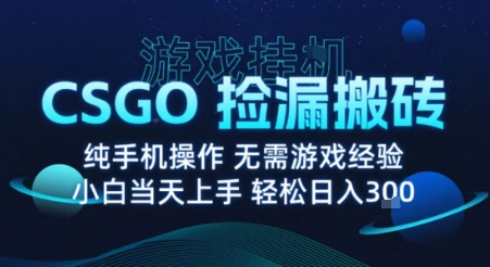 8月最新游戏搬砖，CSGO纯挂G，不需要玩游戏，实现真挂G，月入1W+【揭秘】-HXPP