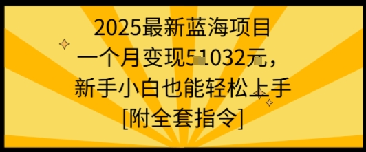 2025最新蓝海项目一个月变现1w+新手小白也能轻松上手【附全套指令】-HXPP
