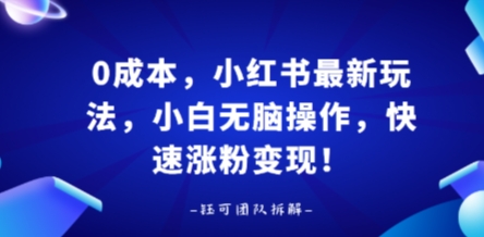 0成本，小红书最新玩法，小白无脑操作，快速涨粉变现-HXPP
