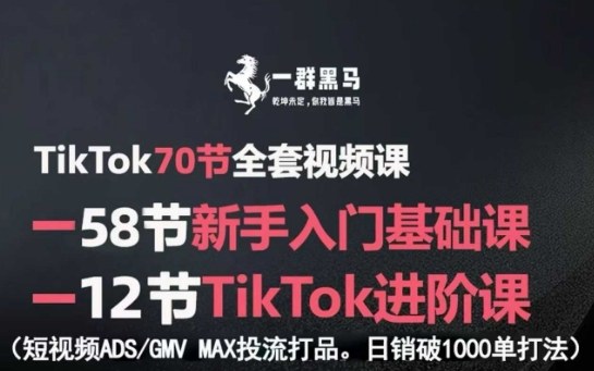 TikTok全套视频课，新手入门+进阶课，短视频ADS-GMV MAX投流打品，日销破1000单打法-HXPP