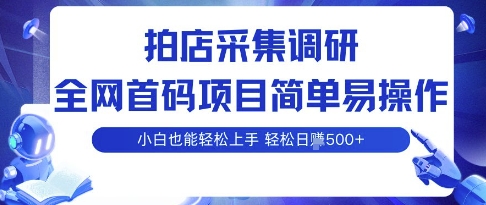 拍店采集调研，全网首码项目，简单易操作， 小白也能轻松上手，多账号操作，轻松日入5张【揭秘】-HXPP