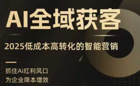 AI全域获客实训营，2025低成本高转化的智能营销，精准找客，高效营销-HXPP